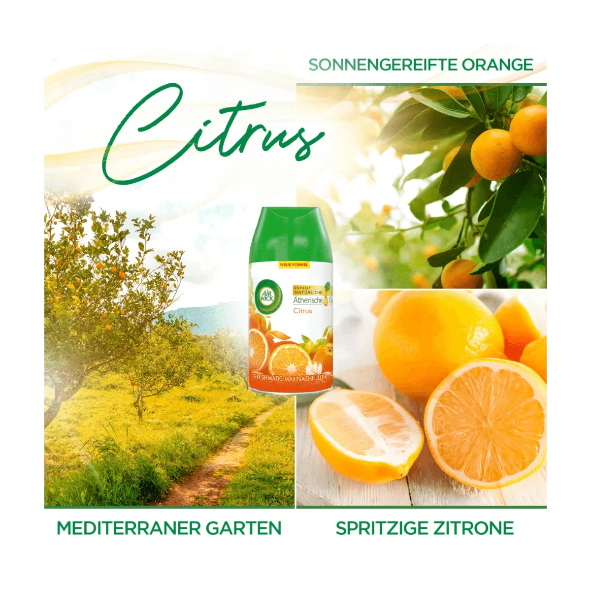 AirWick Naturlische Ätherische Öle Citrus Duo Pack