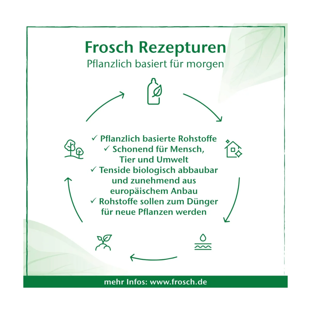 Frosch Fleckenentferner & Vorwasch-Spray wie Gallseife, 500 ml